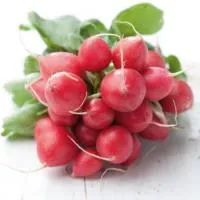 Редис РОНДЕЕЛ (1 кг) (NS) Rijk Zwaan