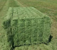 Export Timothy Hay, Alfalfa Hay and Pellets